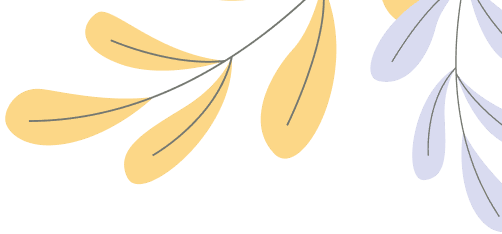 The best kitchenWare Collection